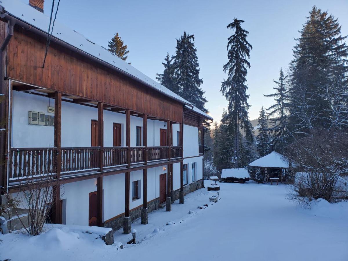 Papa la Șoni Gastro-Pensiune Borsec Exterior foto